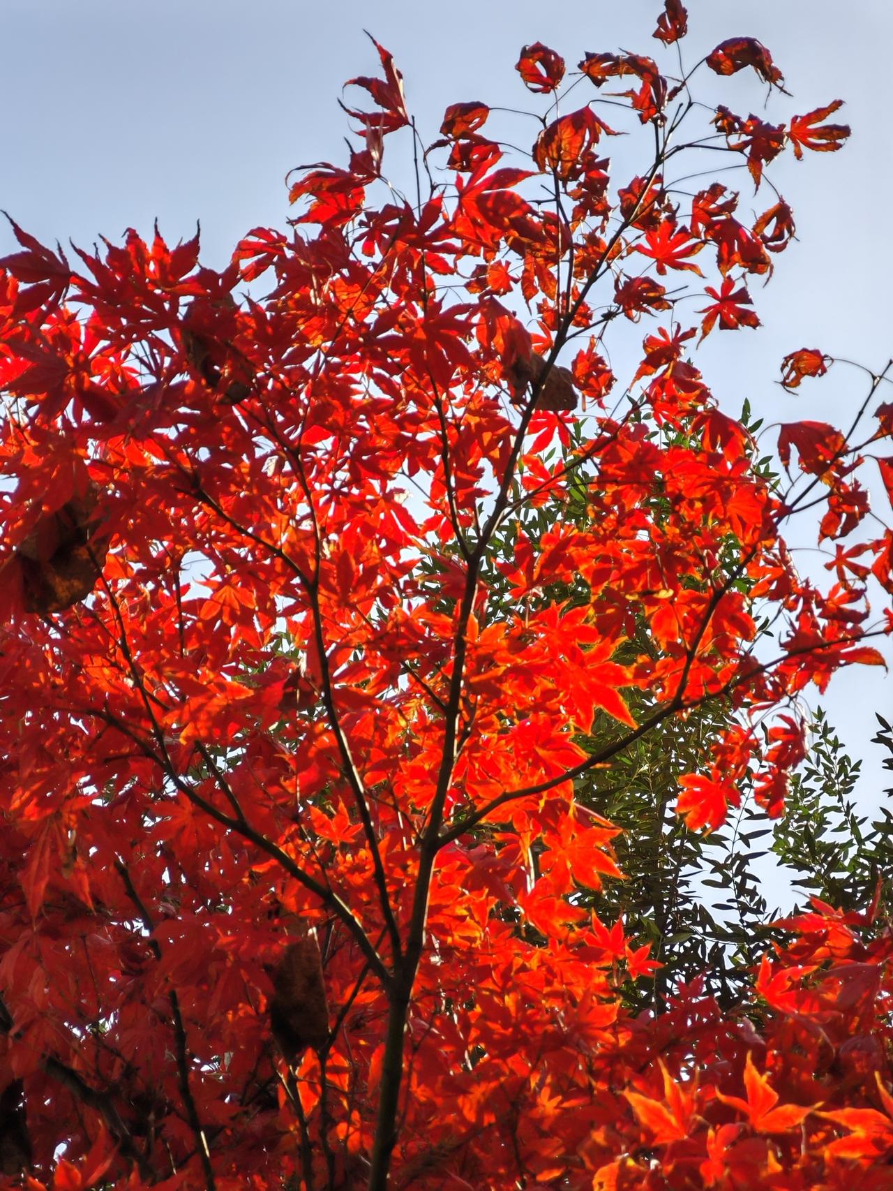 24、奋进江城共筑新篇住在武汉楚河汉街附近的人实在太幸福啦！闲暇时光，出门