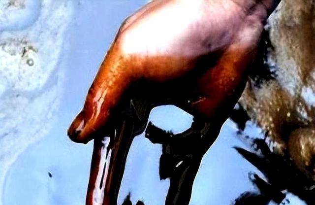 火葬场产生的“尸油”去了哪里？很多人不知道，尸体在燃烧的时候会产生“尸油”，但这