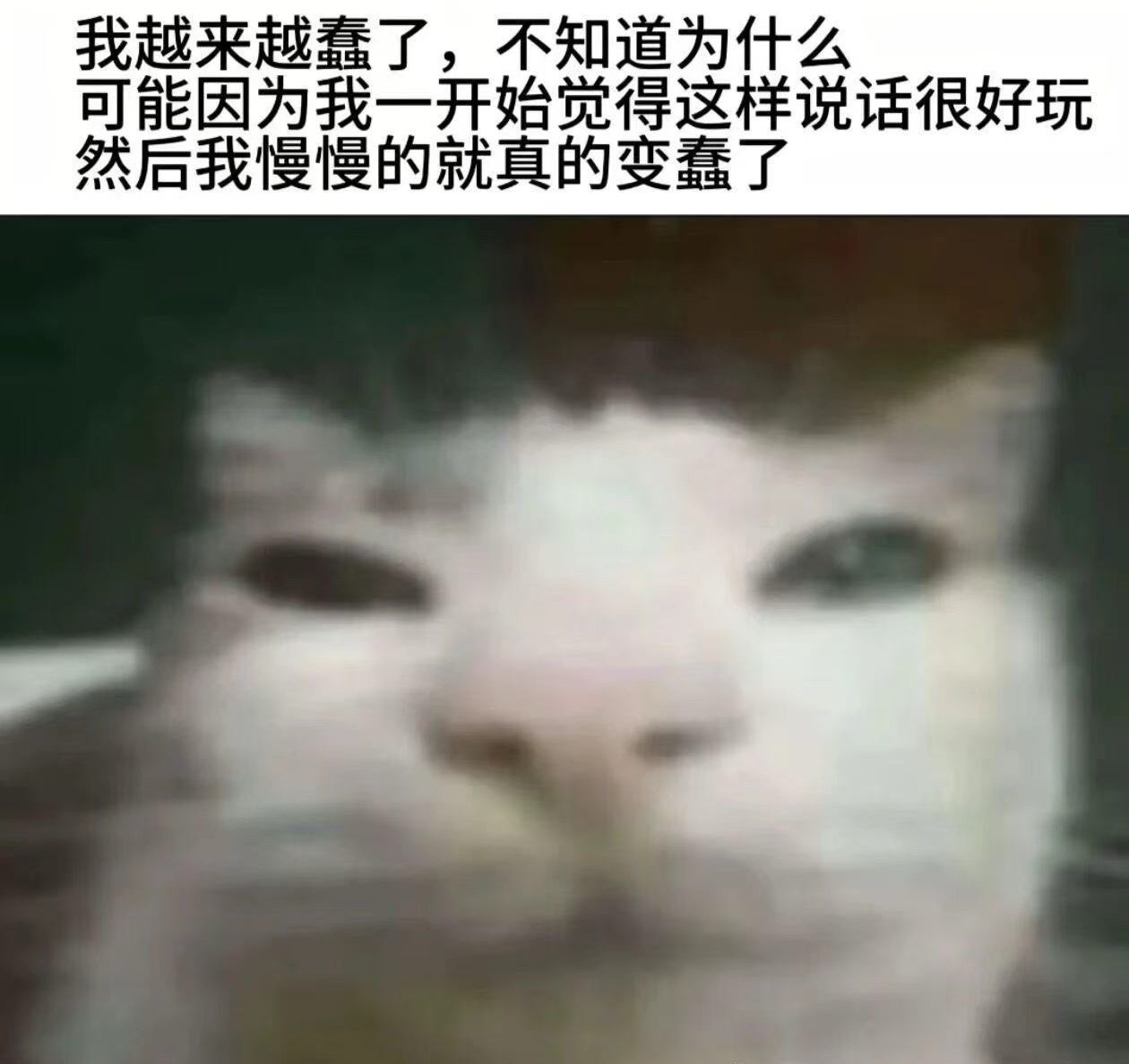这是我啊​​​