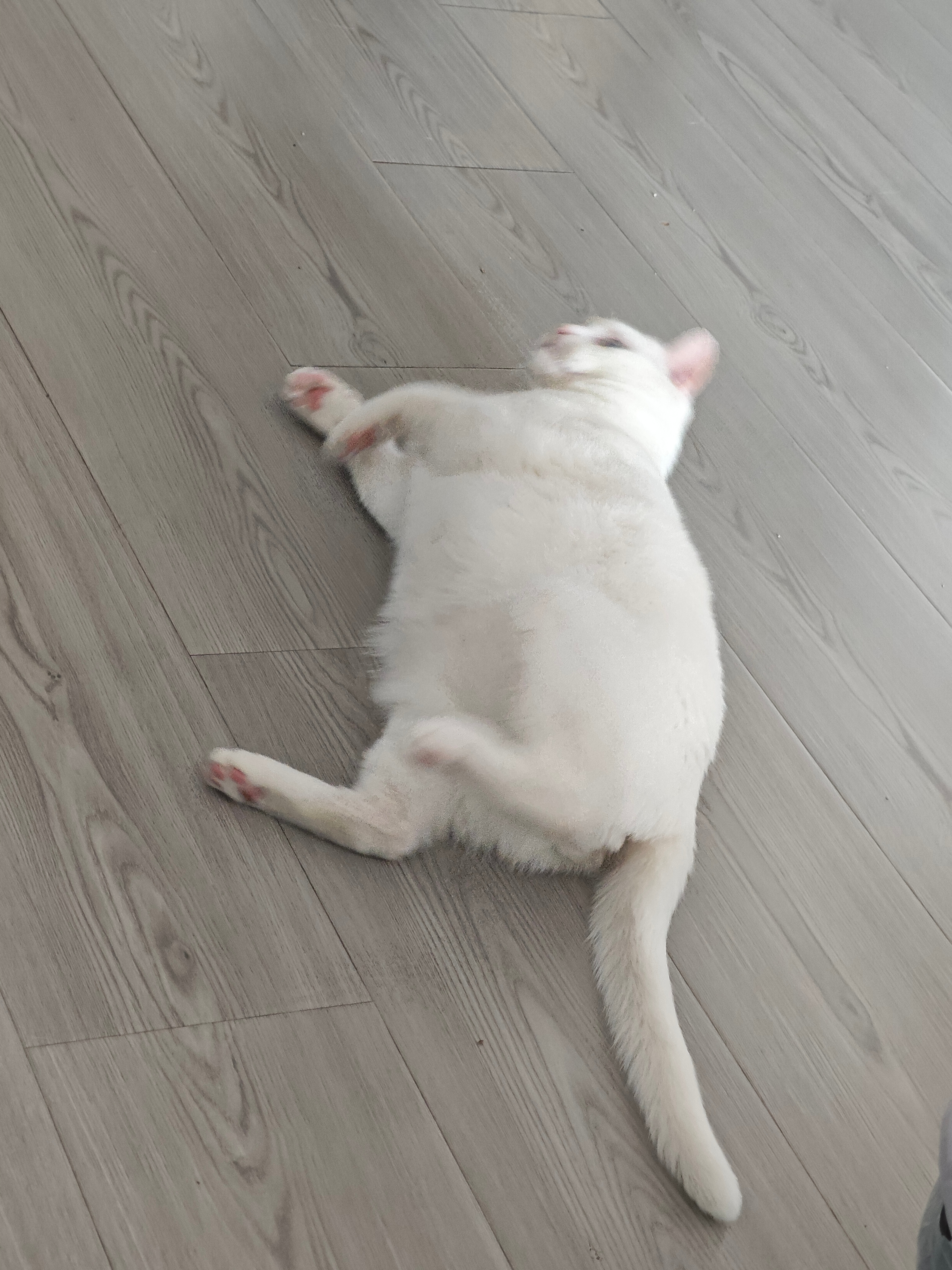 哈哈哈哈哈哈哈，孩子，妈真的不是在笑你