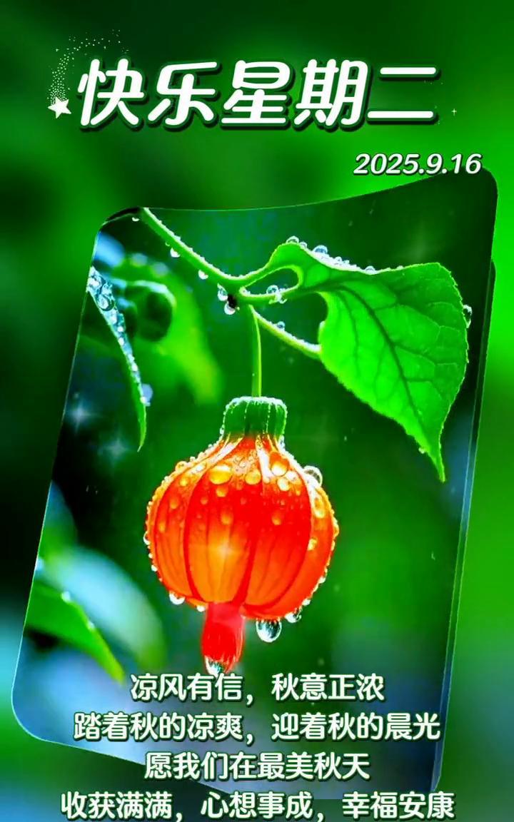 快乐星期二，2025.9.16。凉风有信，秋意正浓。踏着秋的凉爽，迎着秋的晨光