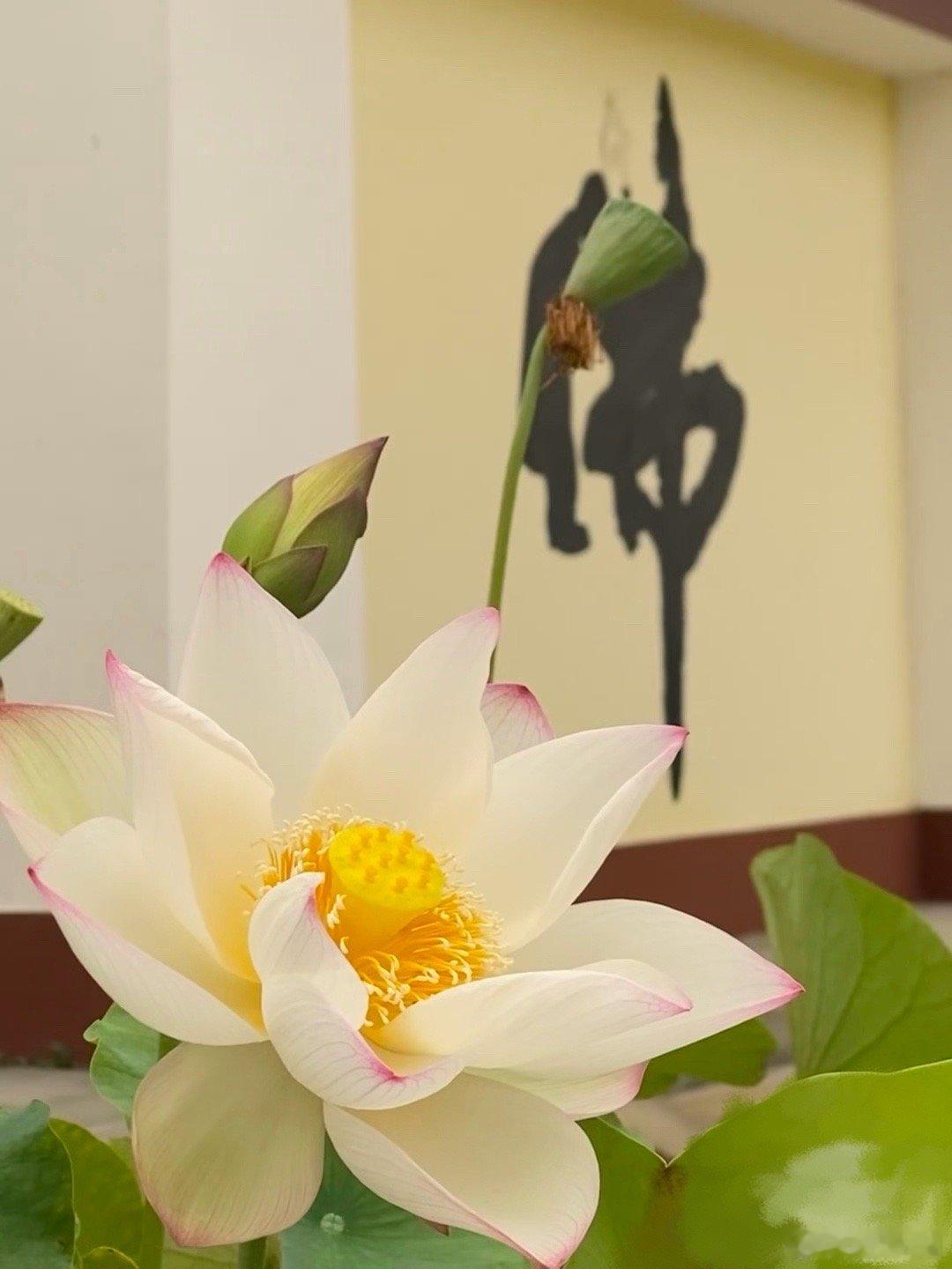 有色金属板块梳理与行情重点1.黄金：山东黄金、紫金矿业2.白银：白银有色、盛