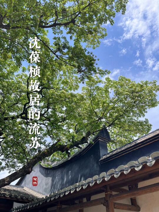 福州古树名木29｜沈葆桢故居的流苏