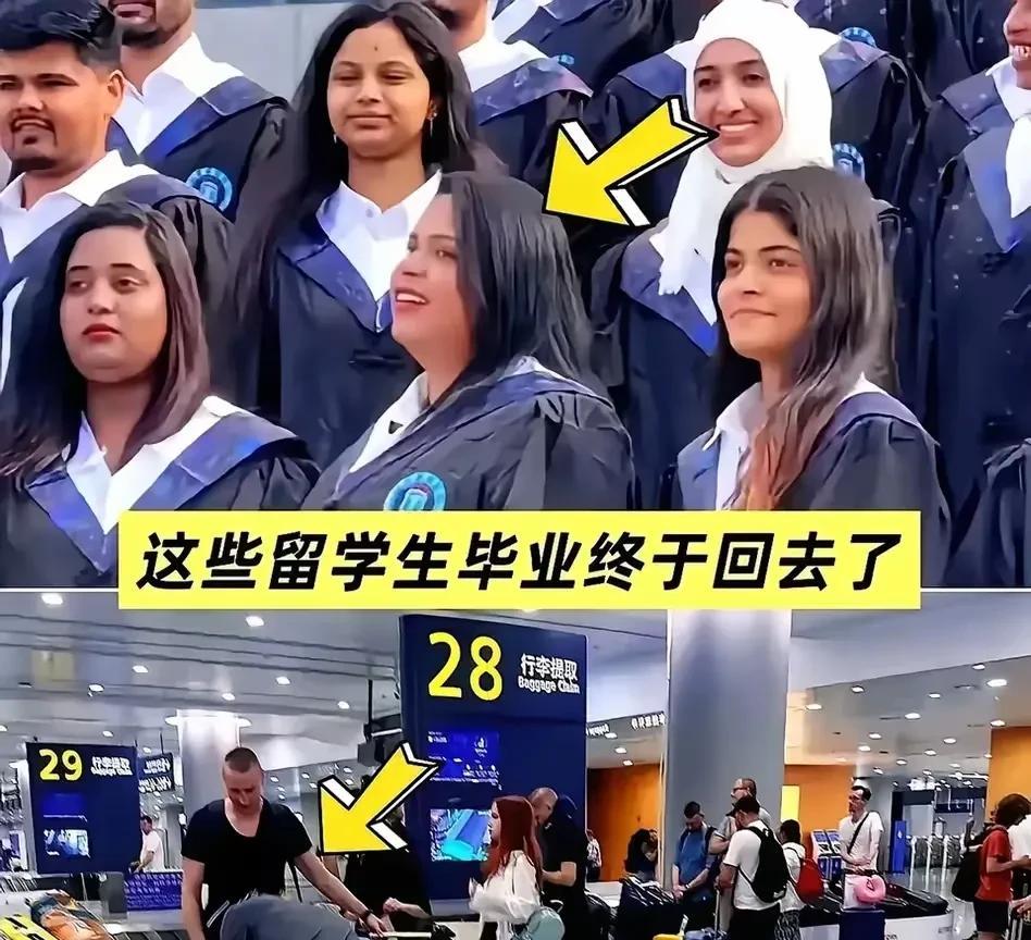高校后勤部主任手心冒汗，校长头上冷汗直流！留学生回家补助机票流出，快速在校园里