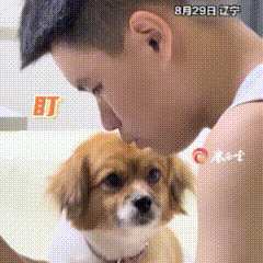 萌翻了！男孩陪姐姐家6岁的毛孩子玩耍，中间休息时，小狗竟用那么深情的眼神望着男孩