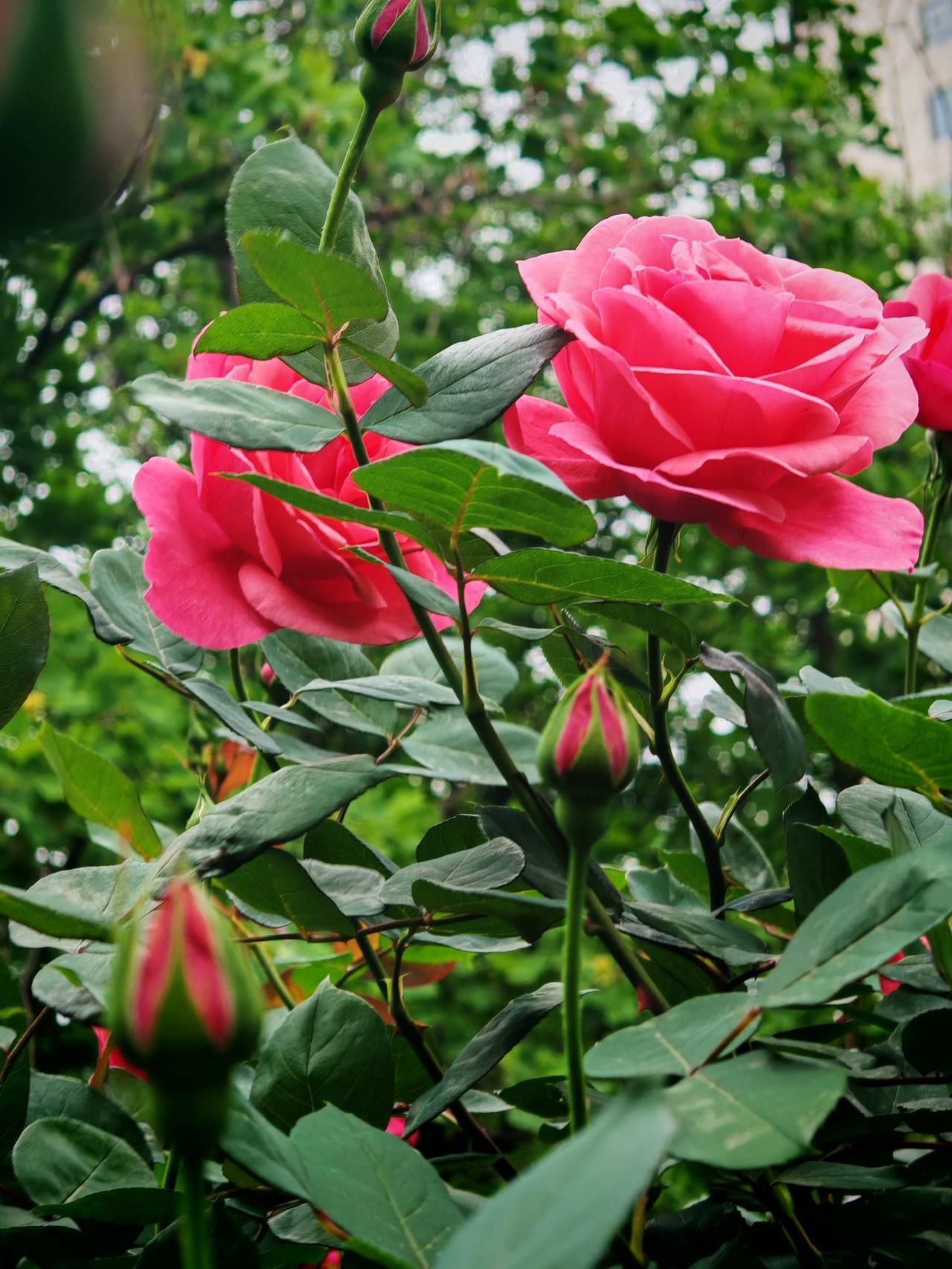 家人们，别再躺着啦，赶紧起来运动！身体健康可太重要了。就拿跑步来说，每天坚持跑个