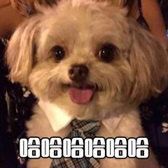 貌似只有我们瓜田博主能理性看待逐玉牛牛了这些人除了无能狂怒，没一个人敢承认逐玉