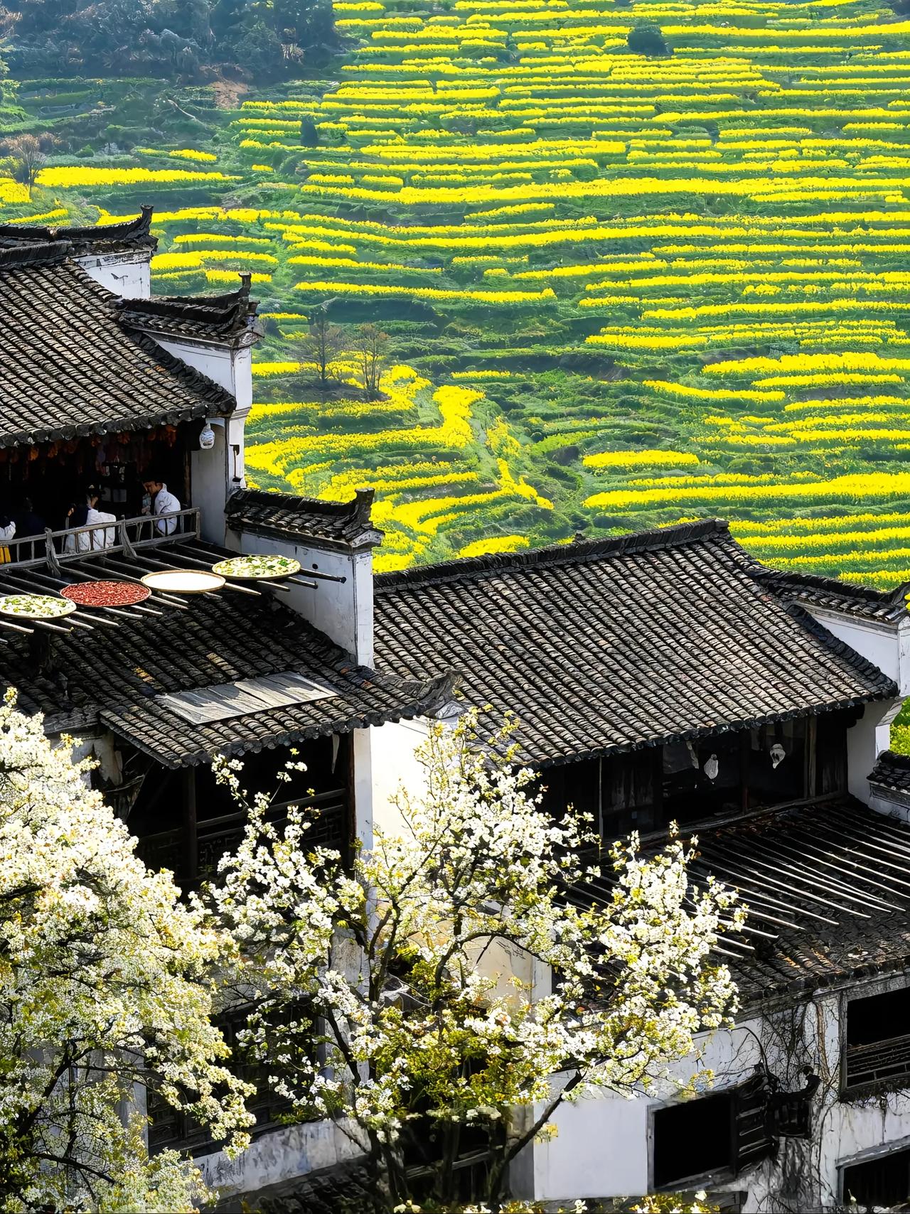 接待了一位来自南京的高二学生家长，孩子这次期中考试成绩不太理想，数学只考了38