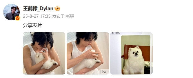 王鹤棣晒狗狗王鹤棣风波后首发博王鹤棣录音风波后首发博晒狗狗。​​​