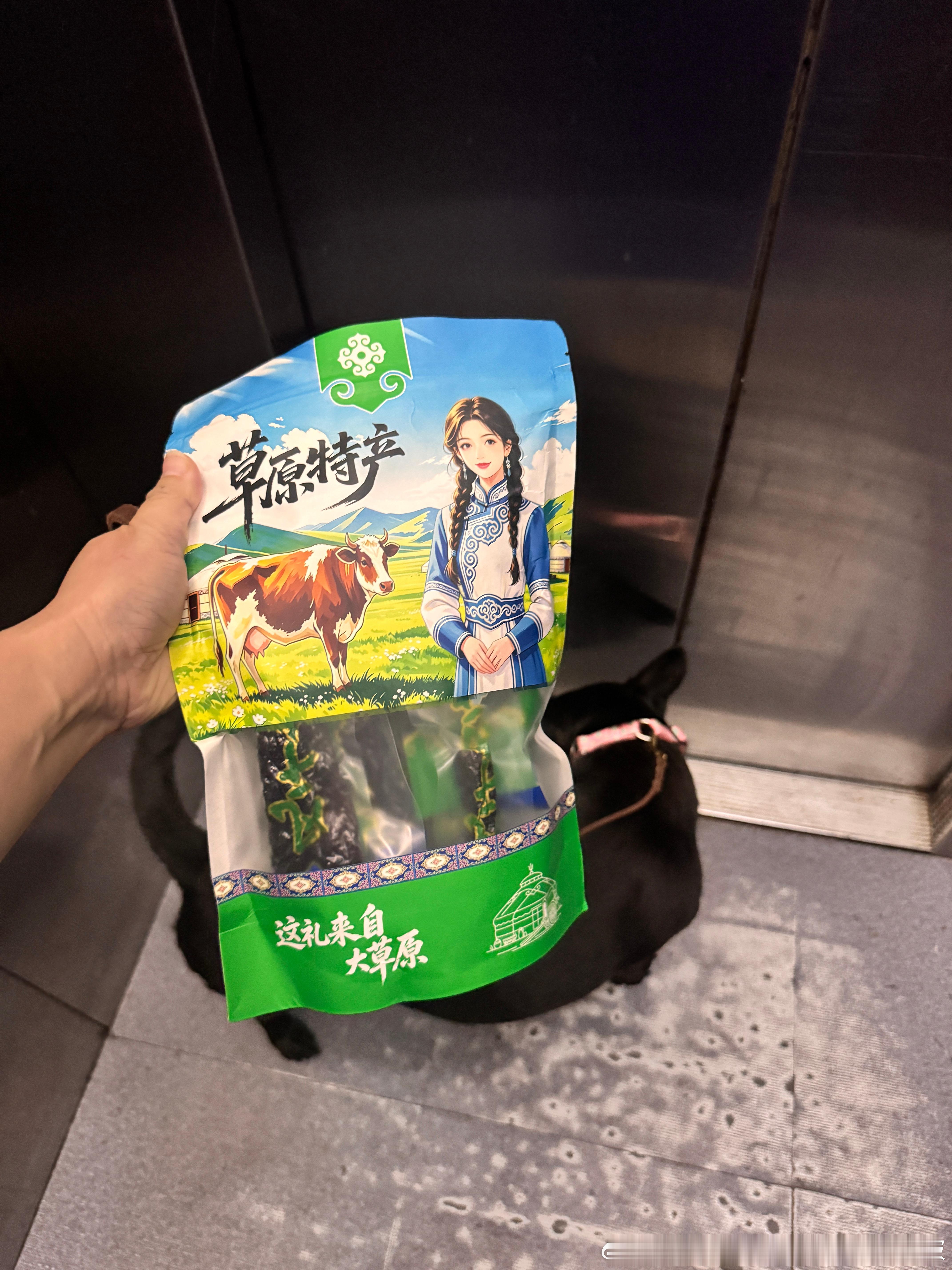 去狗宝家～​​​