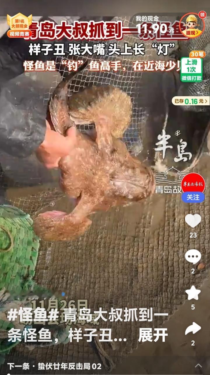 青岛大叔意外捕获深海神秘“灯笼鱼”，头上自带钓鱼竿震惊全网！揭秘海底怪鱼的生存智