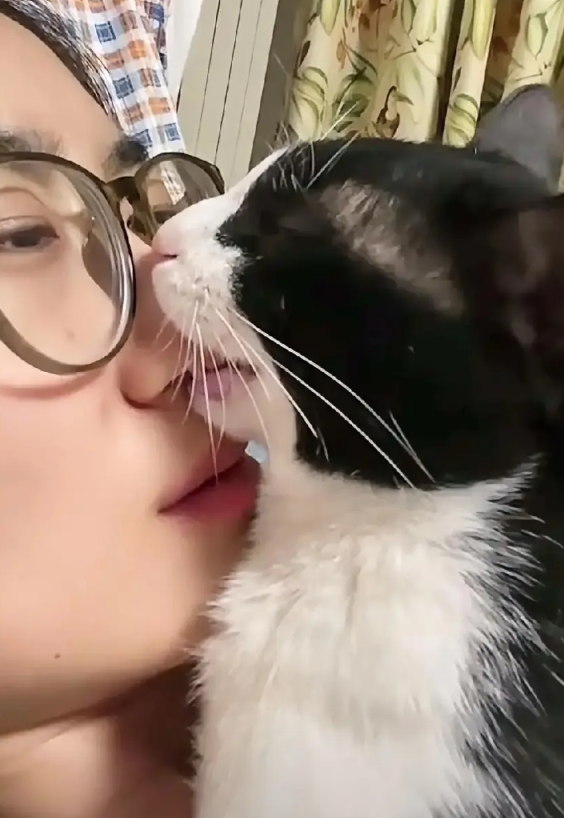 “松开，赶快给我松开……”一女子被家里面的猫咪忽然咬住了鼻子，任由她怎么喊叫，猫