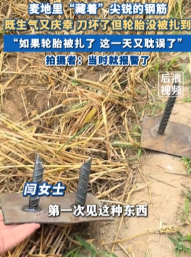 太坏了！河北，女子开收割机割麦子时，突然发现麦田里有动静，她下去一看，竟然发现2