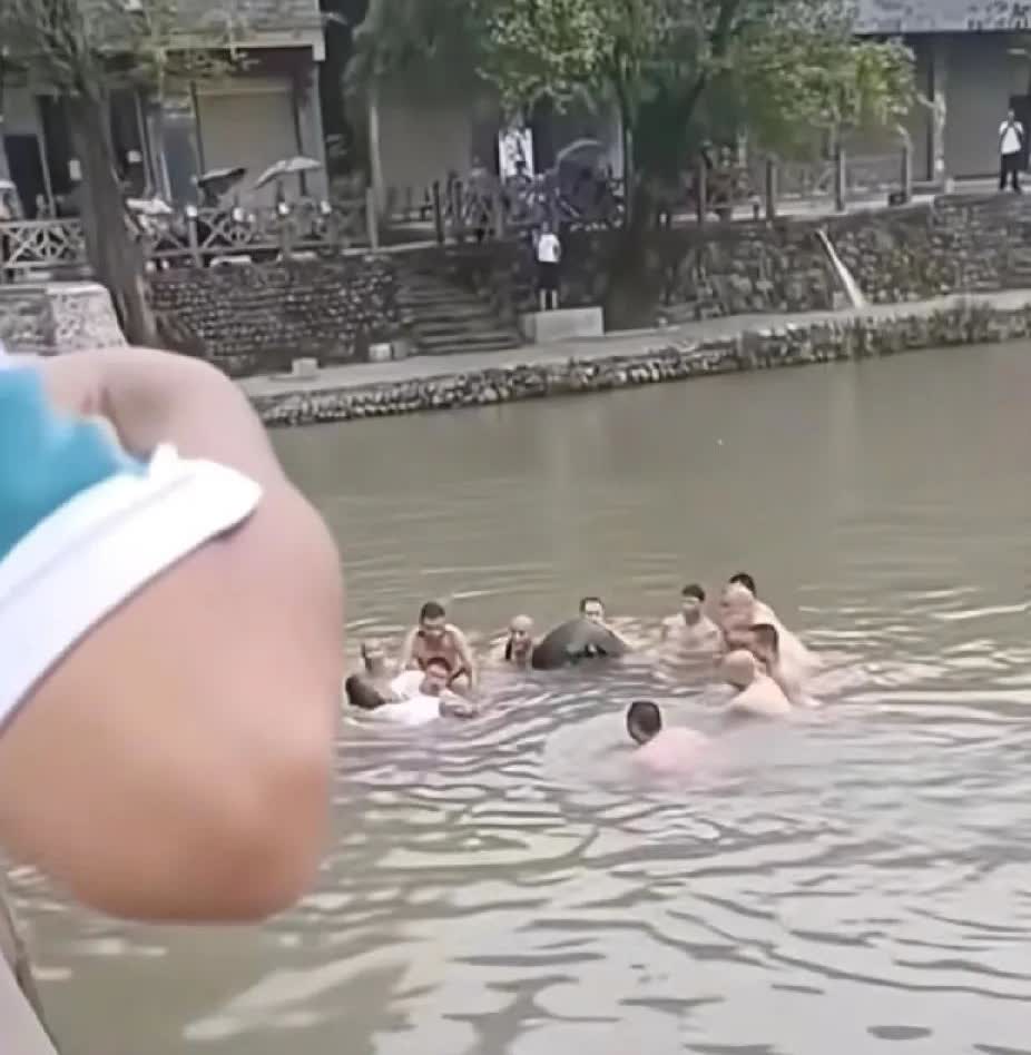 1个，2个，3个……，桥上的路人接二连三不断跳入河中，接下来看到的一幕，让人直呼