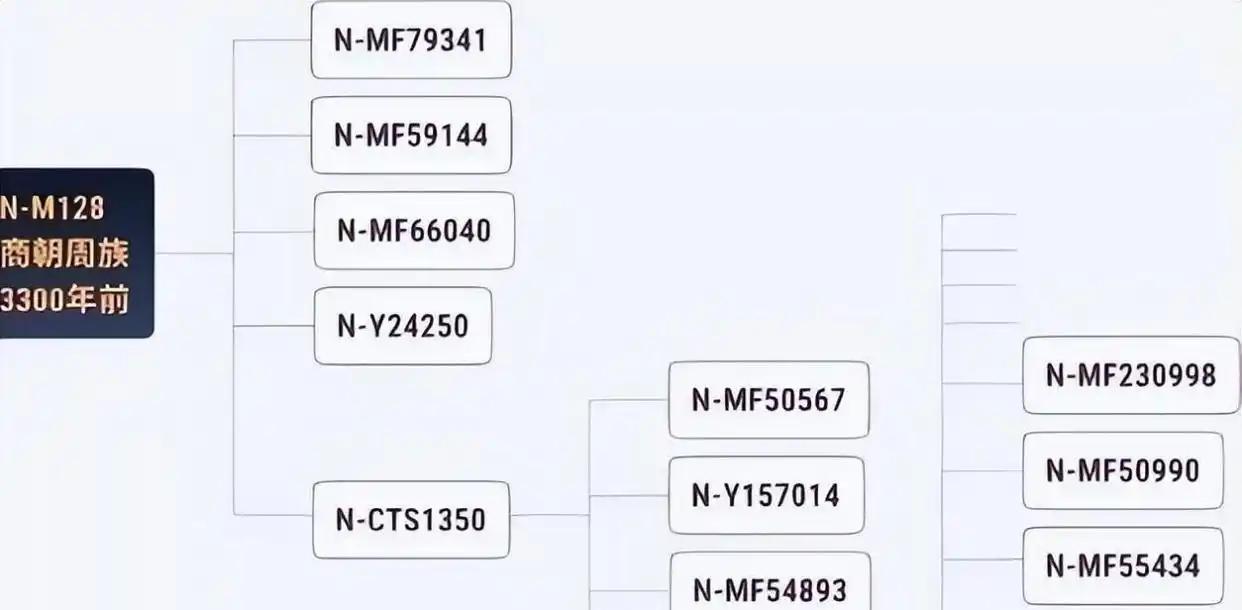 晴雨风说史晴雨风说史真没想到，西周姬姓贵族基因竟是N系；这结果一出，大家全愣住