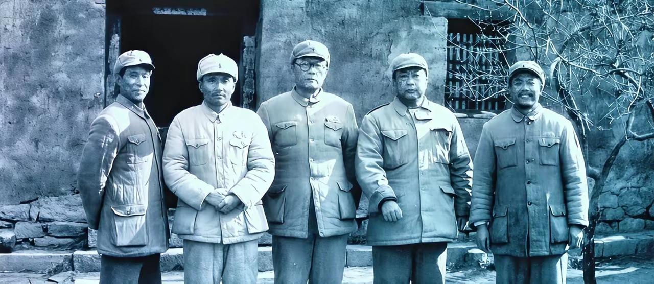 这五位全部认识的，历史绝对差不了。