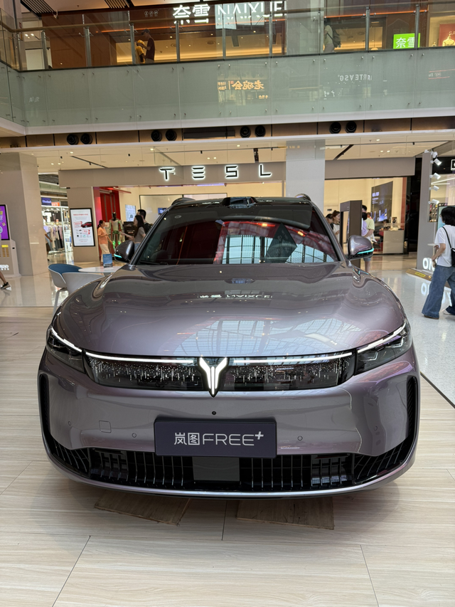 岚图free+静态体验1，整车看着比旧款318时尚了很多，不细看感觉挺好，细看