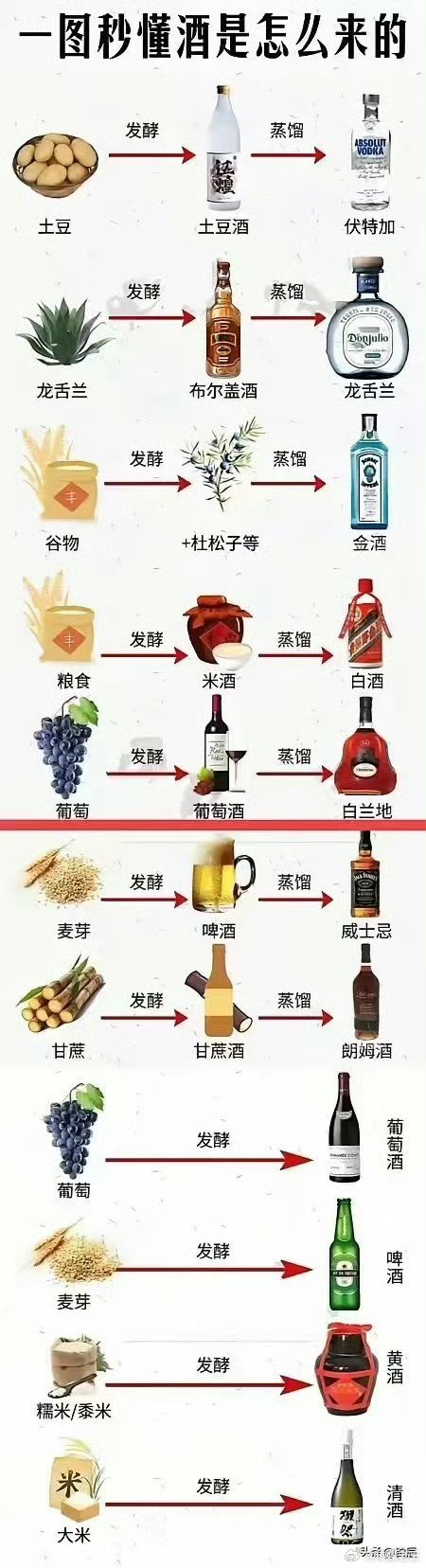 酒原来是这么来的。。。。。​​​