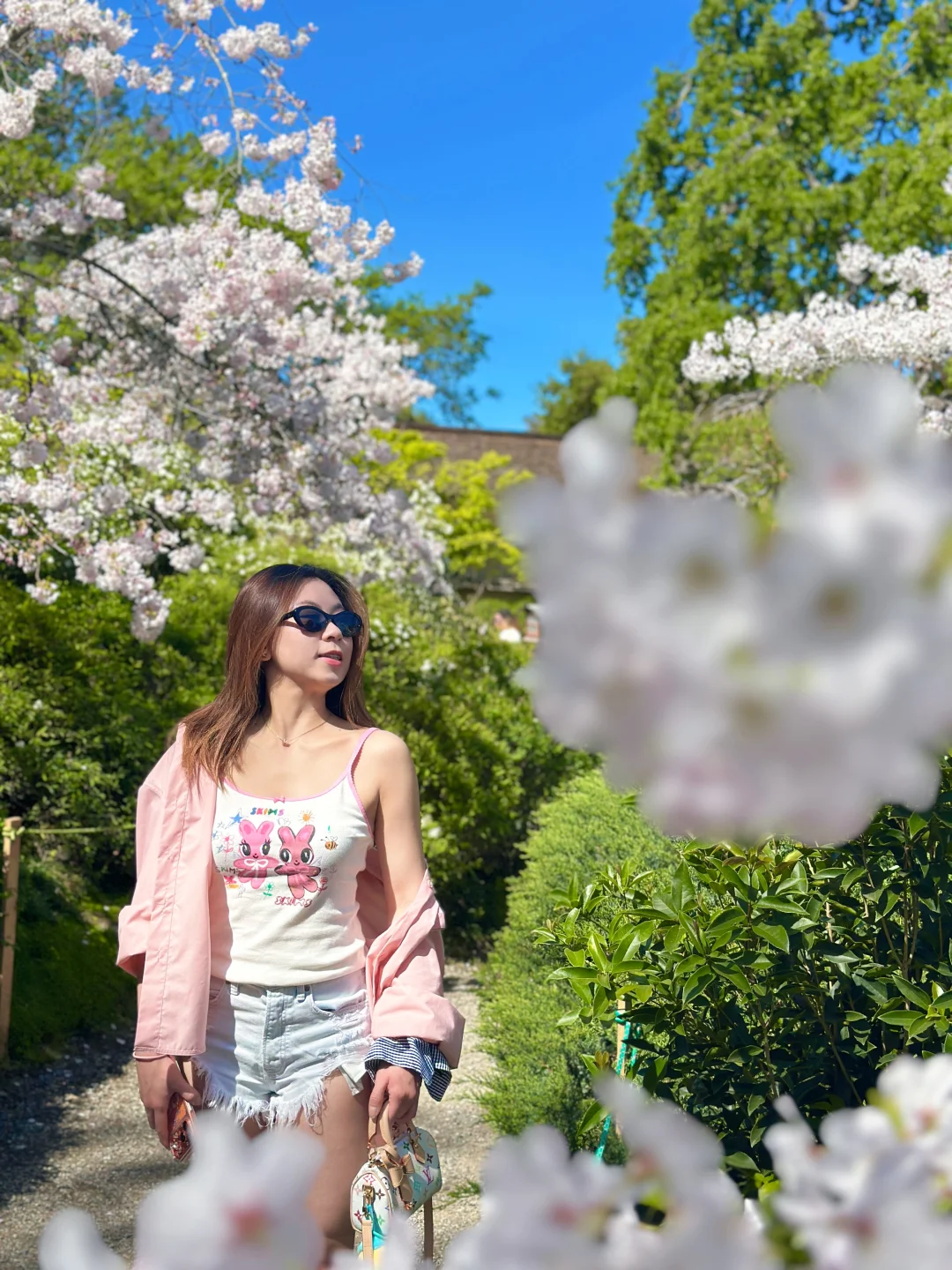 湾区好去处｜今年的樱花季、夜樱都开始啦🌸