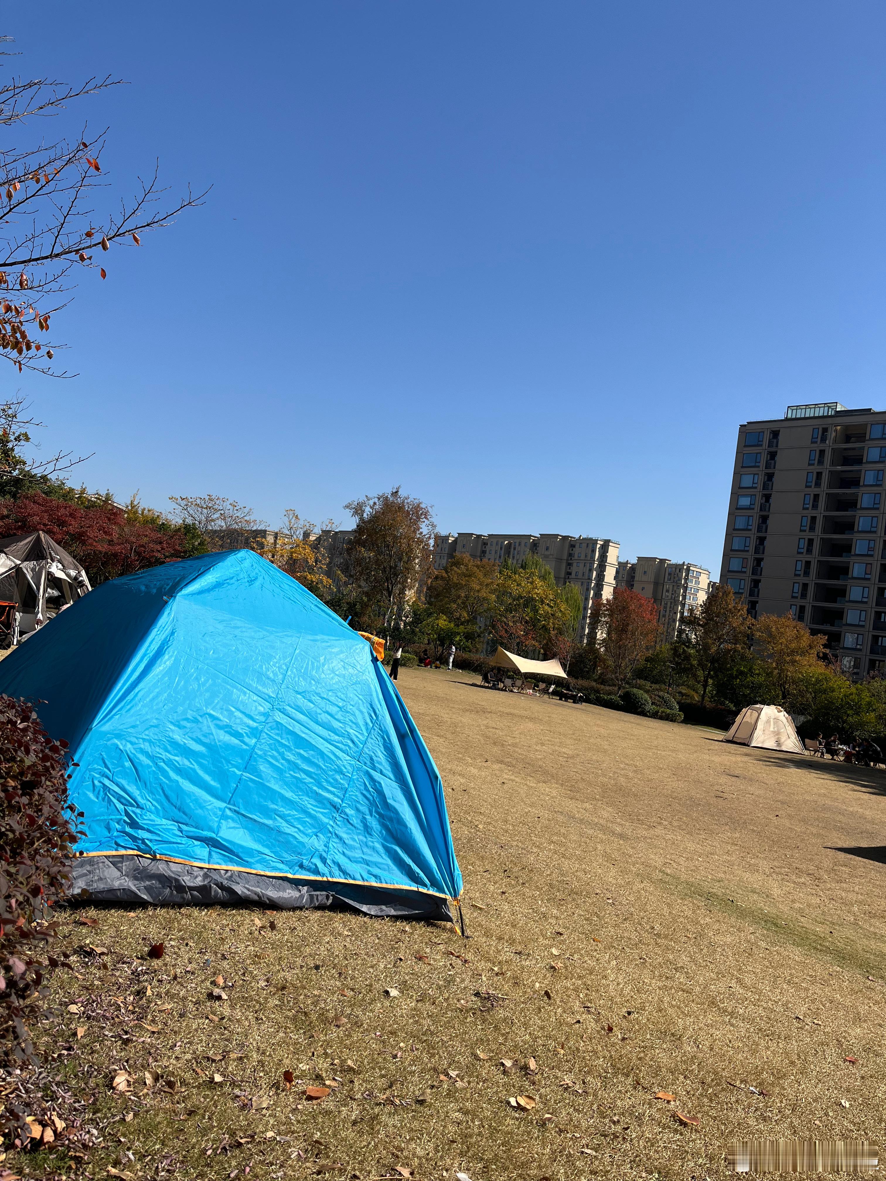 随手拍一直觉得露营出来自己煮饭挺麻烦又要生火又要煮，还不如买点水果零食杭州·地