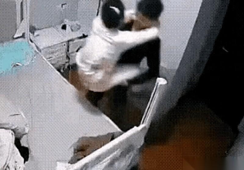 刚把媳妇儿往床上一放，我反手就把卧室门给带上了。空气瞬间就热了，我俩的呼吸都乱