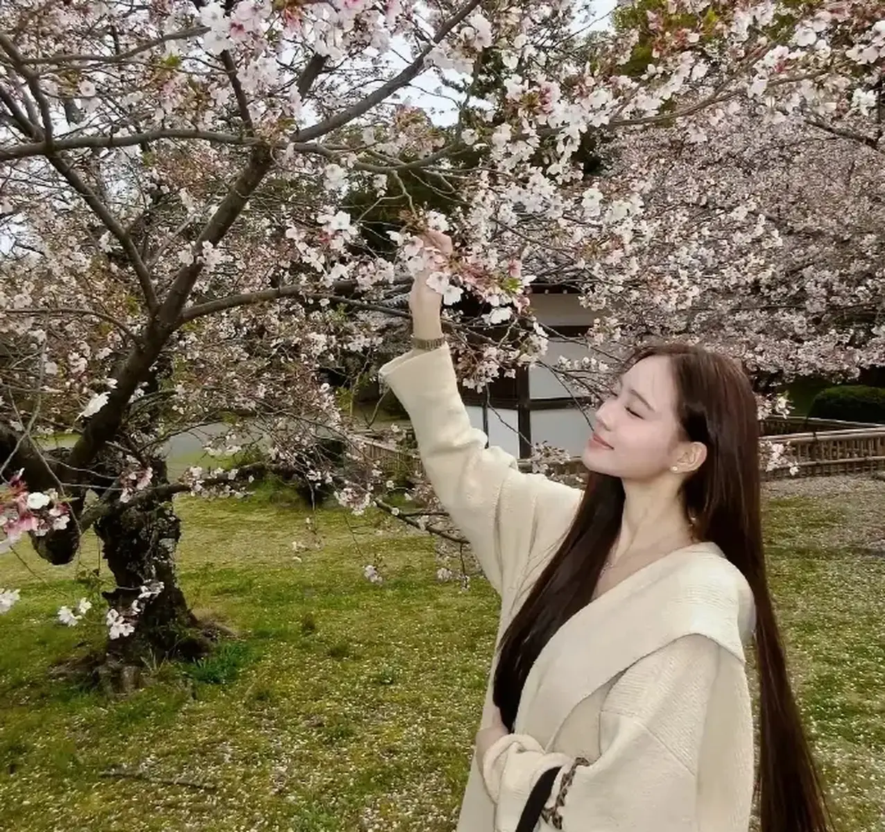 小S二女儿晒日本赏樱美照穿浅色大衣身材高挑迷人