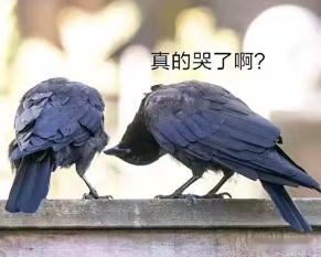 当你难过的不能自已，或者没水瓶座的对象/朋友/闺蜜惹生气，希望Ta来哄的时候。