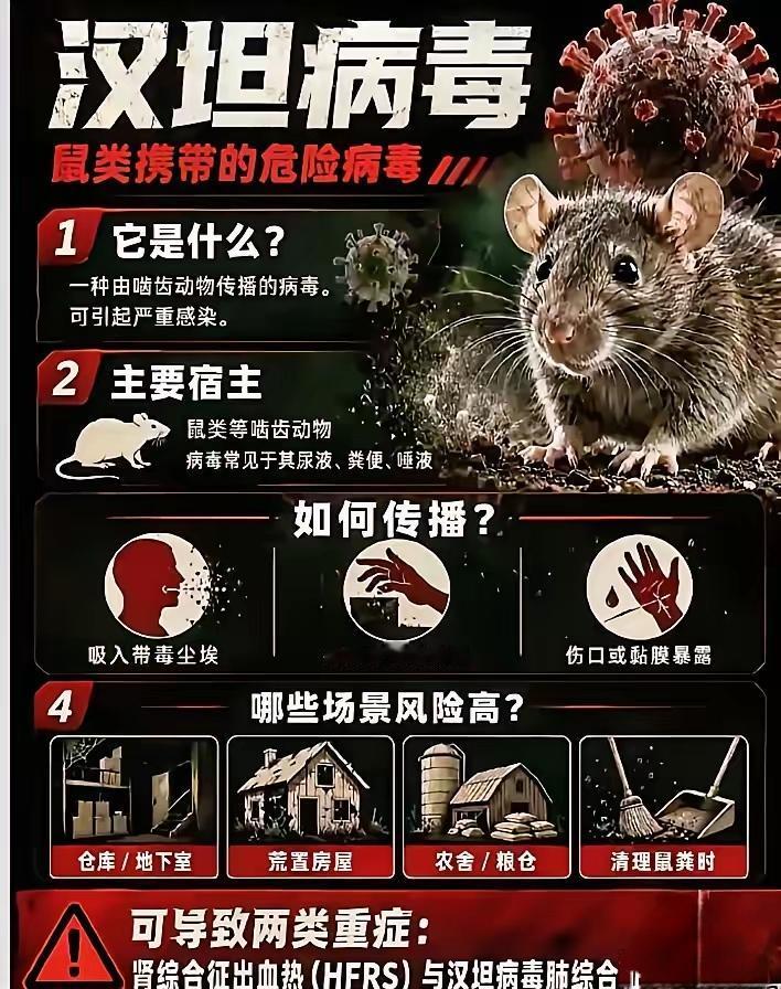 美国制药巨头：正在研发汉坦病毒疫苗，而根据，外国媒体写这篇报道说，一对荷兰夫妇提