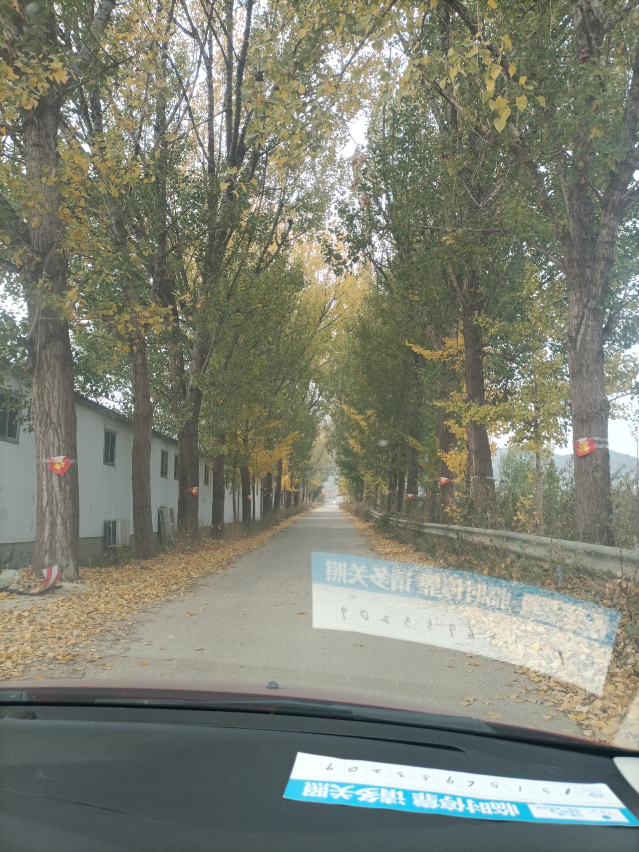 吃鸡狂魔马希声马希声是五代十国时楚王马殷的儿子，他有个特别的癖好，那就是吃