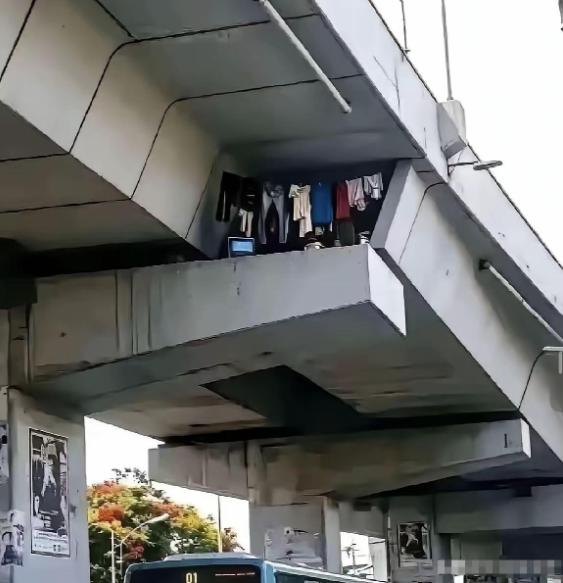 重庆01路公交上，一男子抬头望向桥梁夹层，看到了一幕让人沉默的画面：两片混凝土之