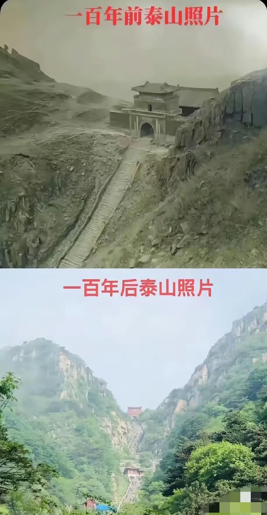 为啥晚清山上都是光秃秃的？泰山