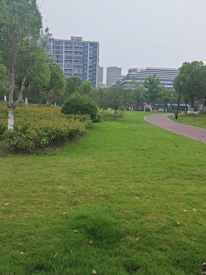 50岁后越省越亏！身上频繁酸痛、乏力失眠，根本不是老了，是你不会养！奉劝所