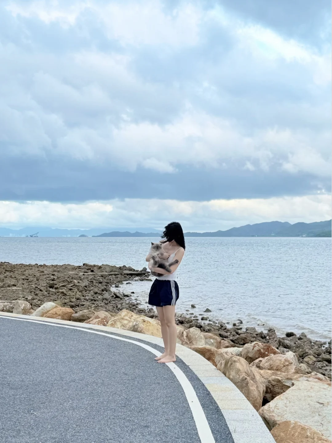 和海豹🦭一起在无人的海边散步发呆吹海风
