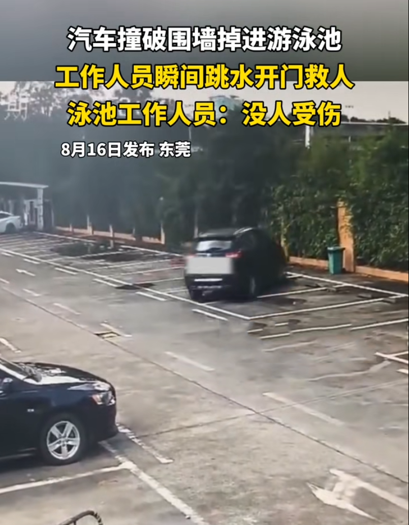 惊险20秒！东莞越野车冲进泳池，六名救生员火速救人8月15日上午9时52分，广
