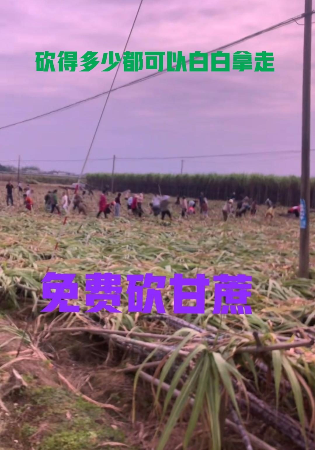 活了五十几岁，我是第一次看见农民这般凄惨！今天我回宾阳老家祭祖，在和村里的堂哥