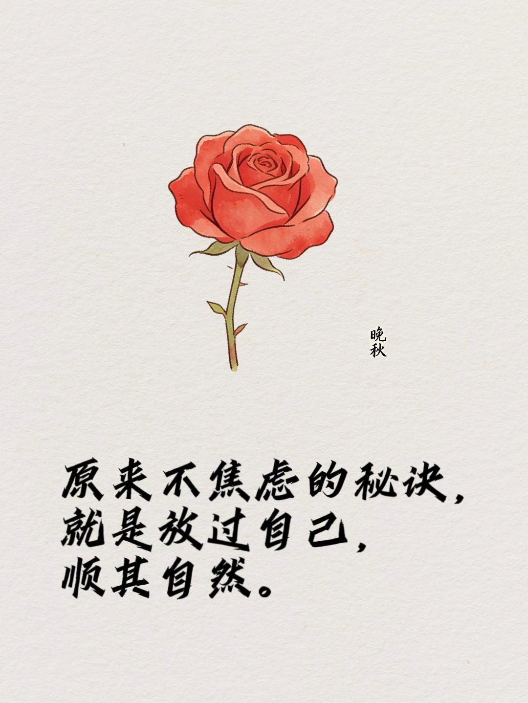 突然一下子就不焦虑了，原来很多烦恼，都是自己想太多。人生本就没有标准答案。错