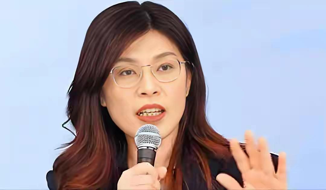 谁将代表国民党参选2028呢？这是一个让人产生联想的议题韩国瑜有民意支持，但