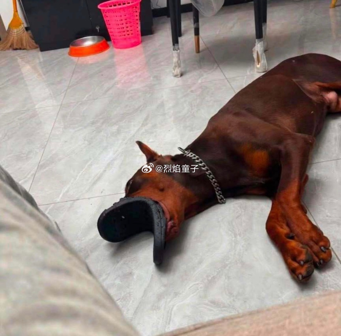 网友说花了半个小时到处找他的另一只拖鞋[捂脸哭][捂脸哭]感觉拖鞋就像凭空消失了一样