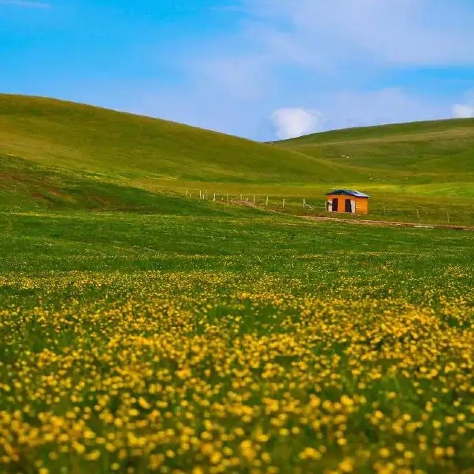 你知道吗？马云曾透露一个扎心的财富真相：“人不会年年走运，赚钱容易时若不拼命存钱
