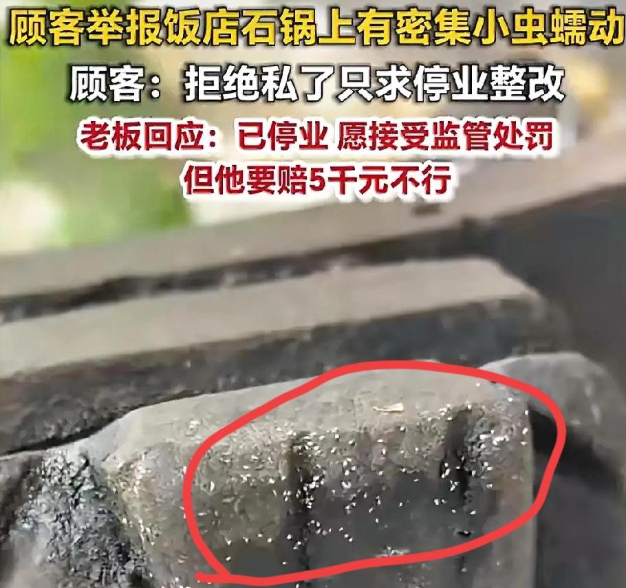 饭店石锅上爬满密密麻麻的白色虫子！顾客拒私了，老板喊冤：赔5千不行。5月9
