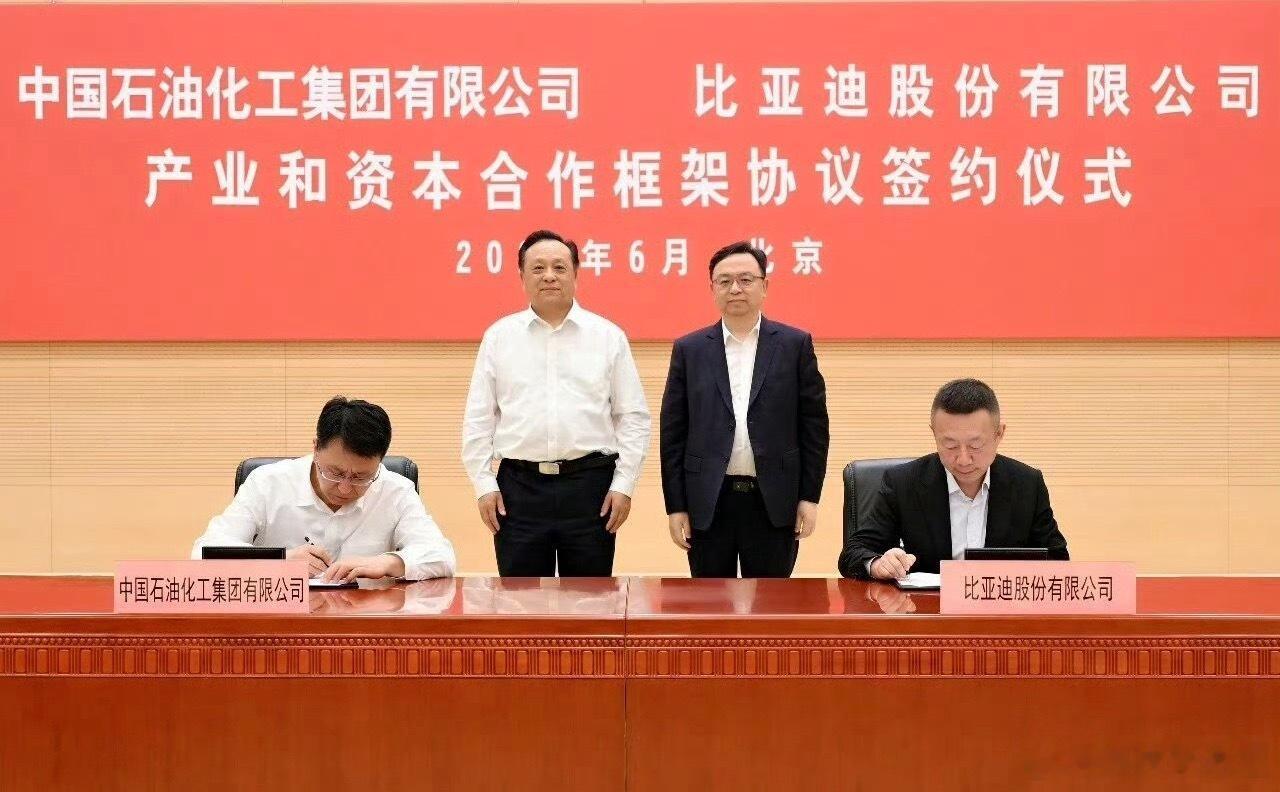 6月3日比亚迪与中石化正式签订产业+资本战略合作协议，落地万站聚能闪充项目。中石
