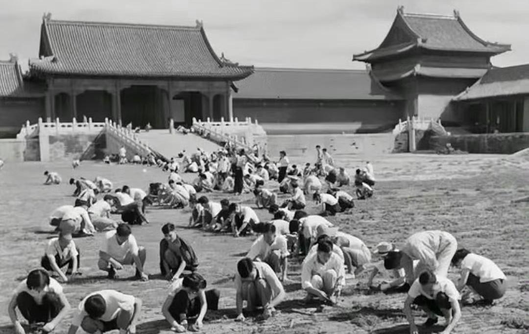 1950年，那清理故宫垃圾的场景，着实令人感慨万千。清末之际，列强入侵，皇帝自身
