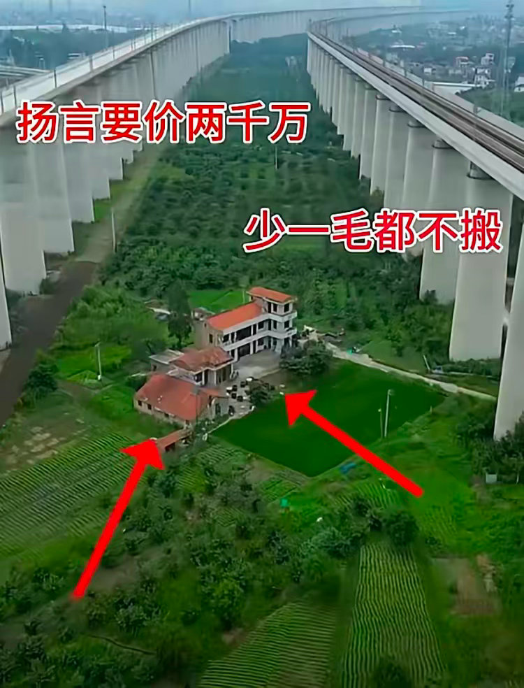 不知道他们现在有没有后悔