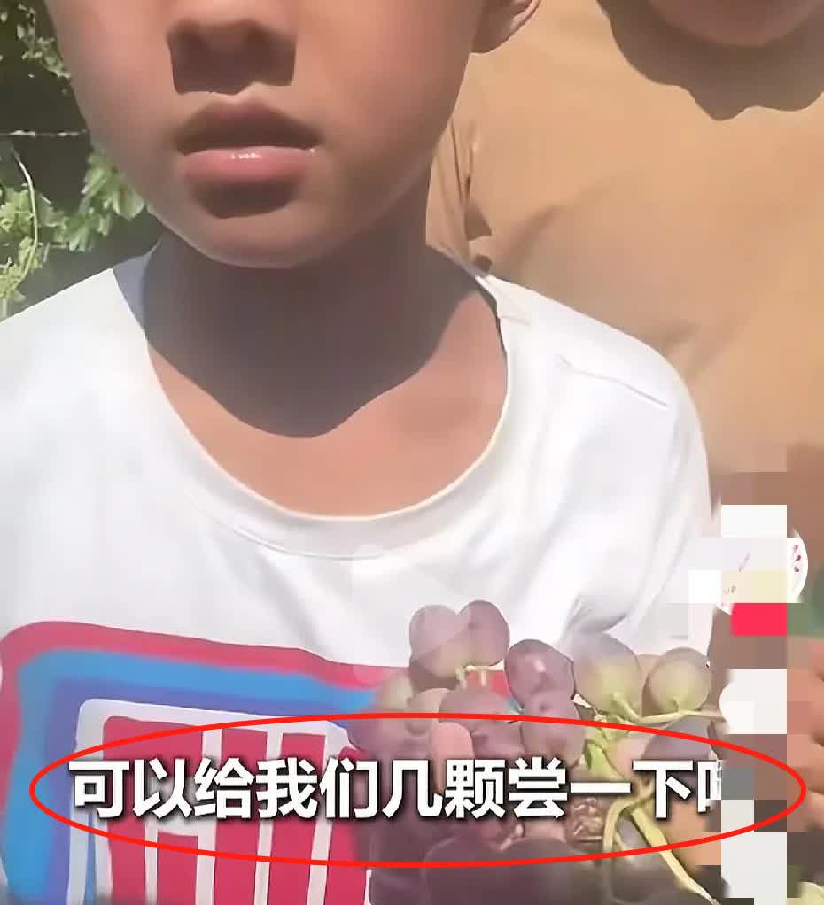 太暖了！新疆，女子自驾时看到几名新疆小孩站在路边，见他们手上拿着葡萄，以为是往外