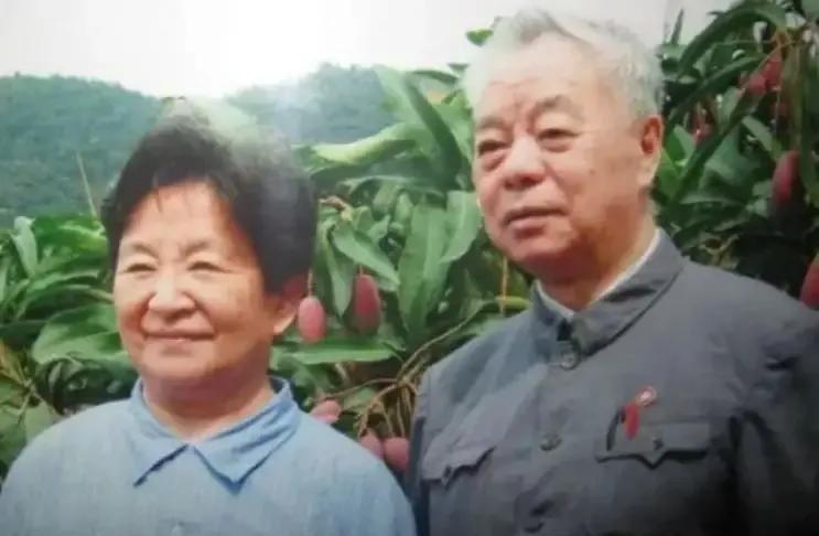 毛主席逝世8年，李讷匿名回韶山，当地领导不解：你这是为什么啊“同志，能让我单