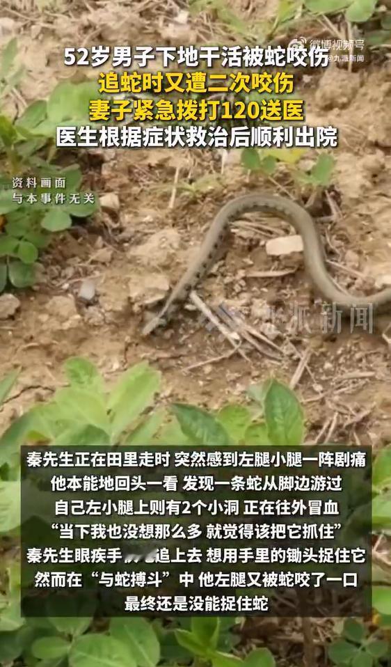 8月30日，据极目新闻报道，杭州富阳一名52岁男子秦先生，在自家菜地劳