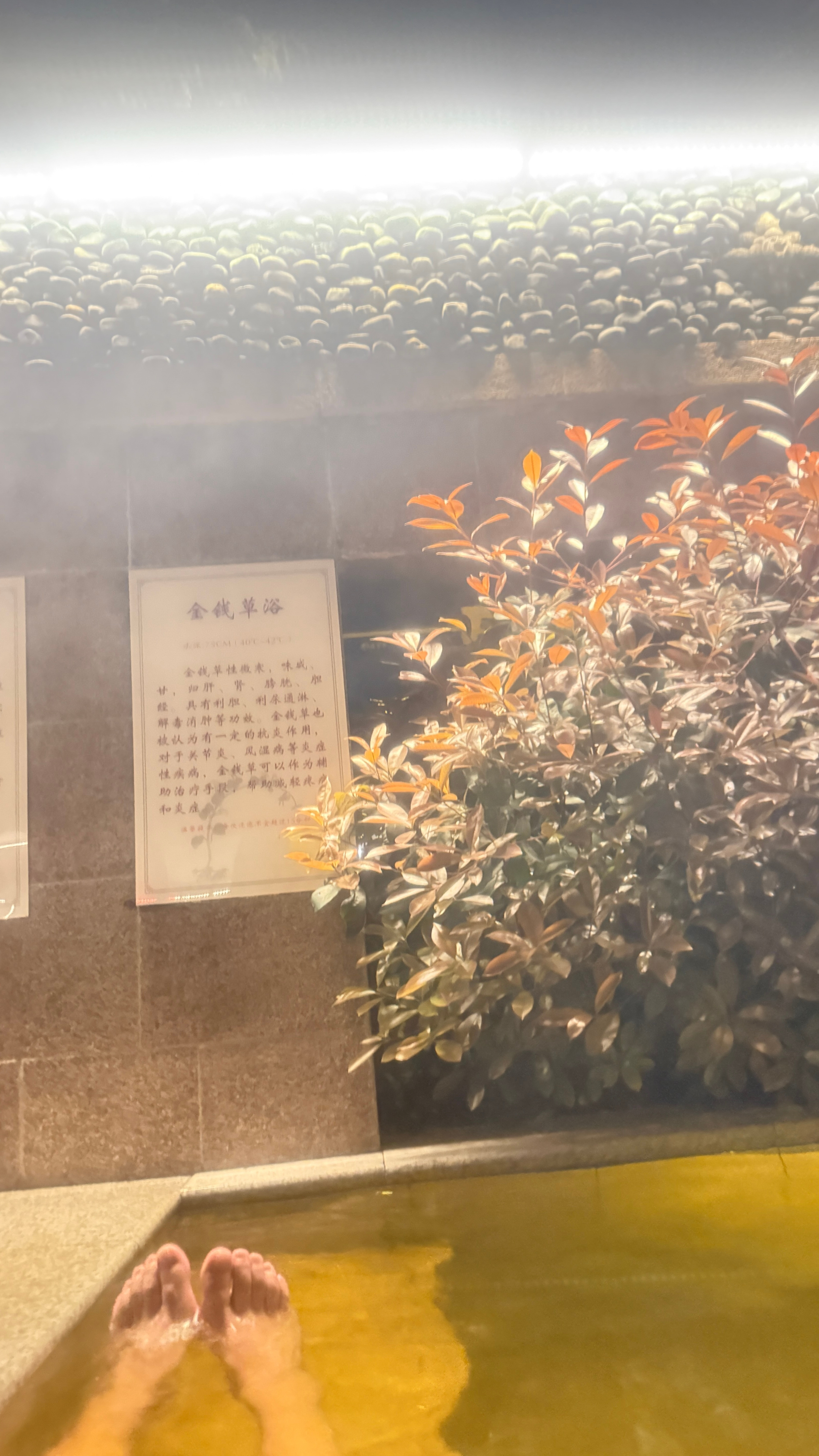 泡个温泉，告别乱糟糟的三月咸宁·碧桂园凤凰温泉中心