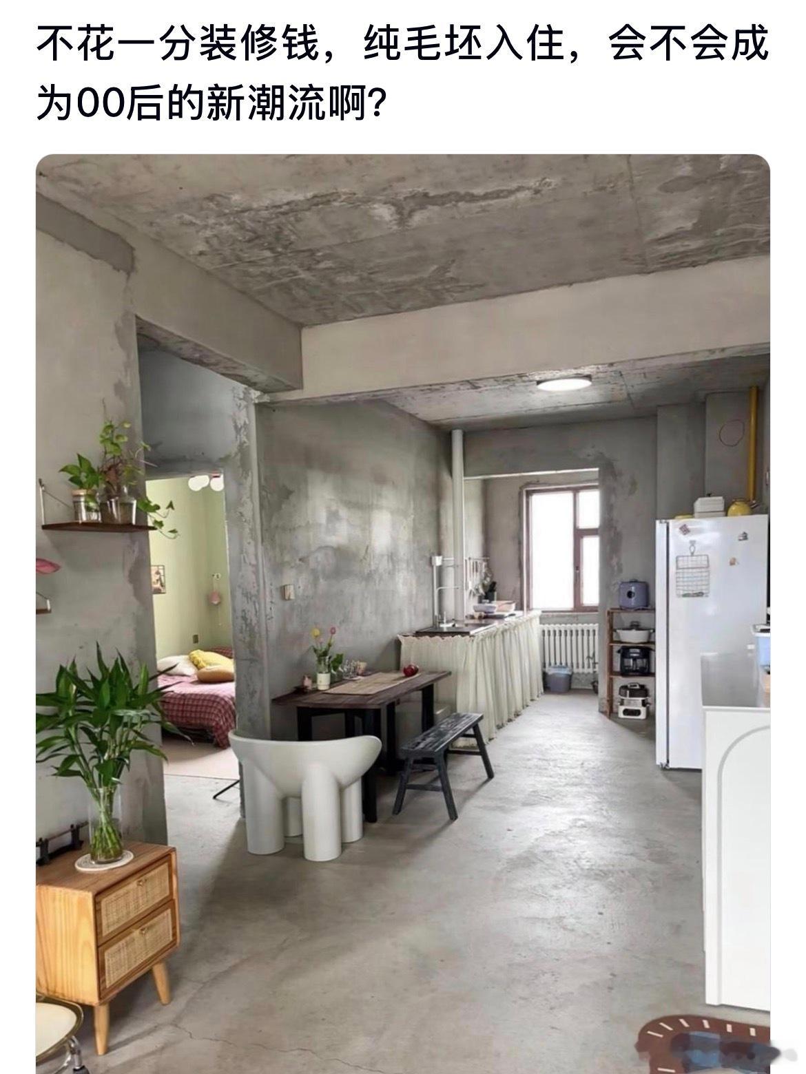 不花一分装修钱纯毛坯入住，是不是会成为00后的新潮流啊