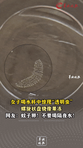 “太吓人了！”云南大理，一女子起床前喝了半杯隔夜水后，竟然惊奇地发现杯子里面有一