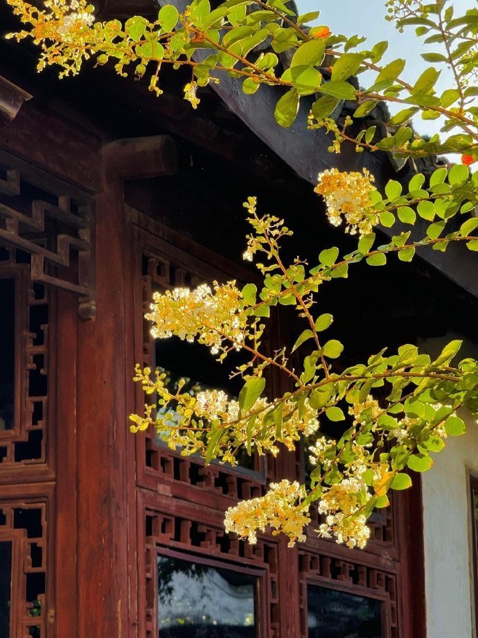 一朝入姑苏满眼是江南​​​